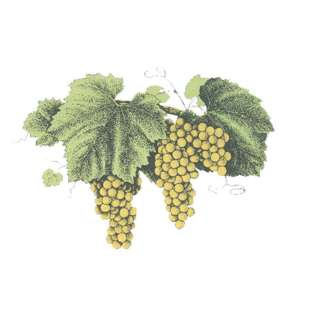 Grgich Hills Estate Wine Tasting | Wednesday, May 20th 6PM