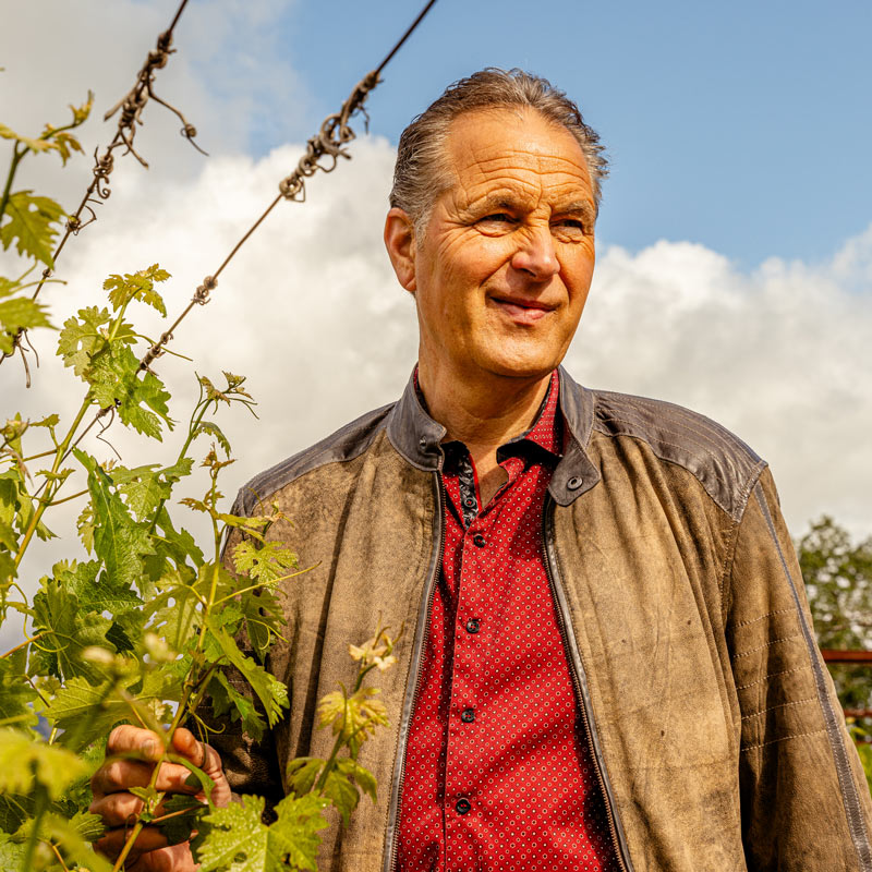 Grgich Hills Estate Wine Tasting | Wednesday, May 20th 6PM